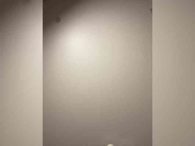 sashhhkino webcam