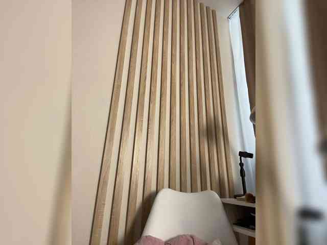 sashhhkino webcam