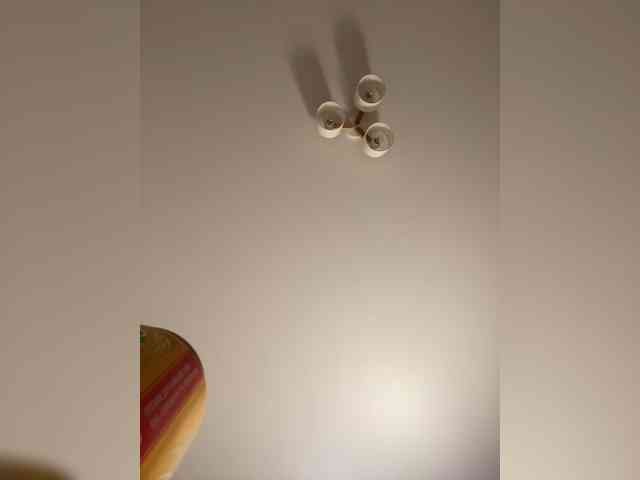 sashhhkino webcam