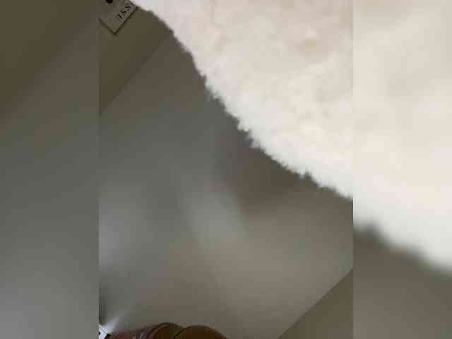 sashhhkino webcam