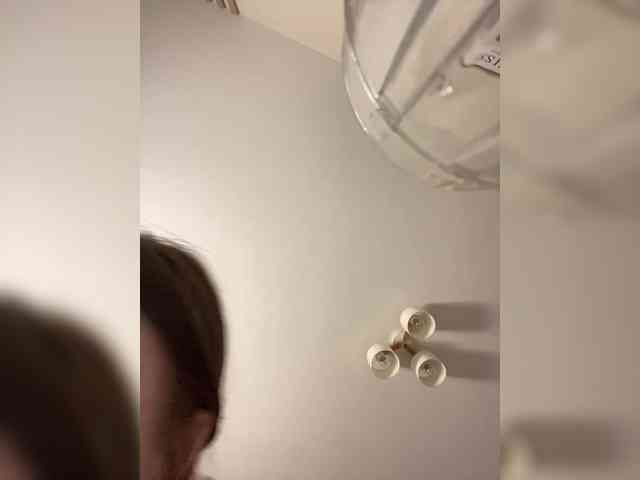 sashhhkino webcam