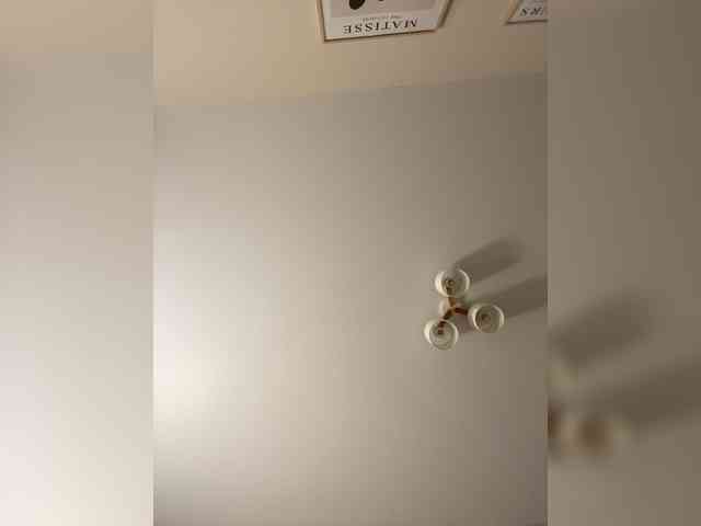 sashhhkino webcam