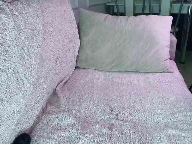 jaslee webcam