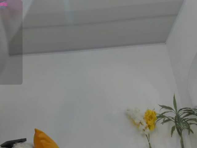 Dakotacarvajal live cam on BongaCams