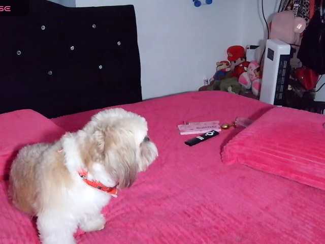 sweetcamy