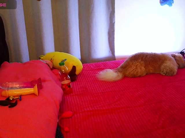 sweetcamy