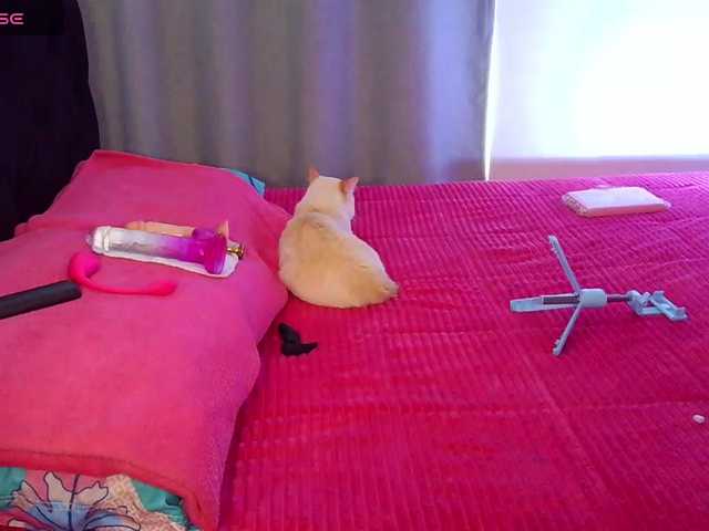 sweetcamy