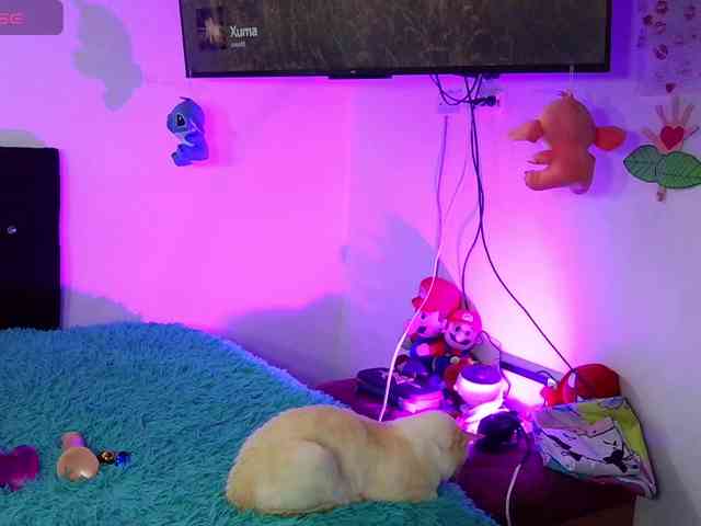 sweetcamy webcam