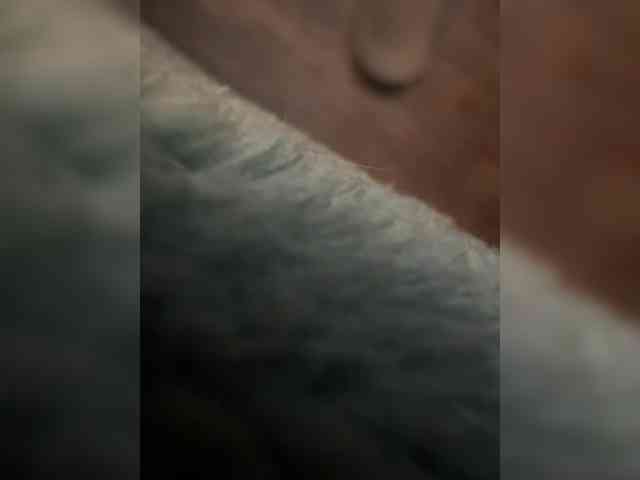 Twix261