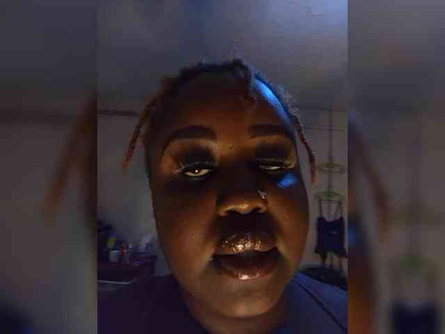 Txc_hoot webcam