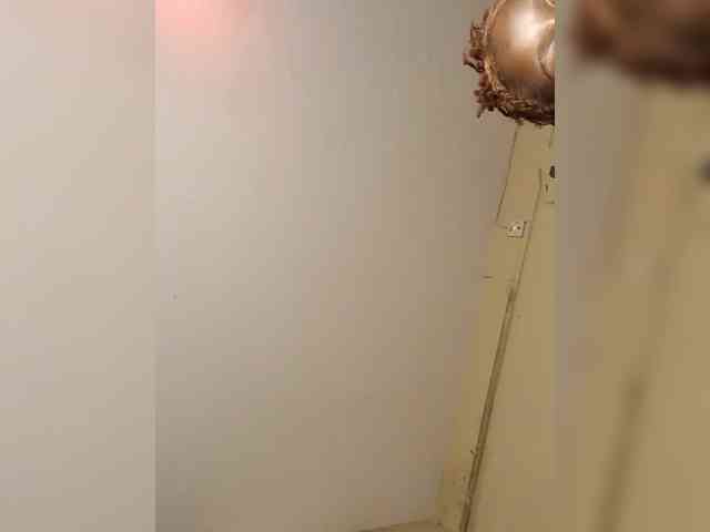 Txc_hoot webcam