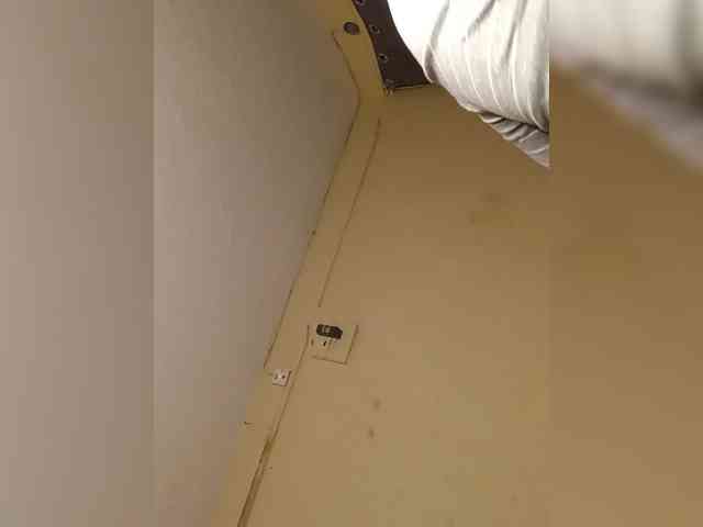 Txc_hoot webcam