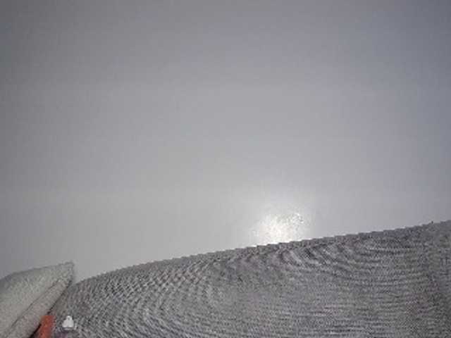 Happie live cam preview