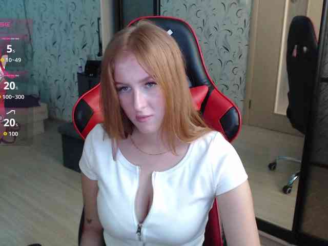 _Fox_ webcam