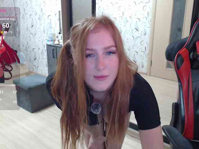 _Fox_ webcam