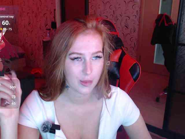 _Fox_ webcam