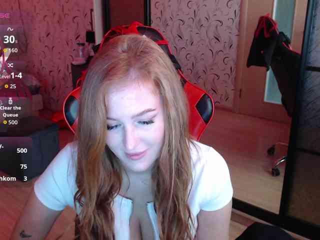 _Fox_ webcam