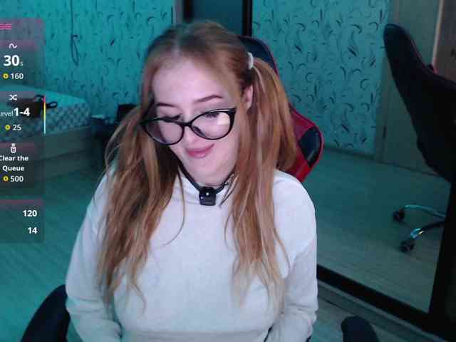 _Fox_ webcam
