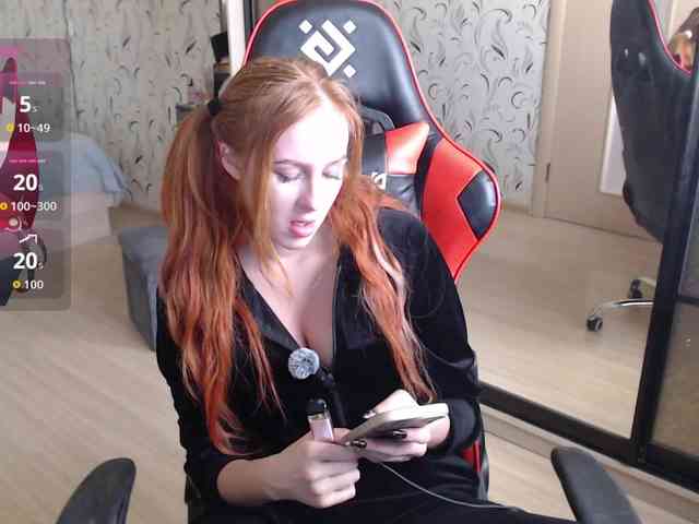 _Fox_ webcam