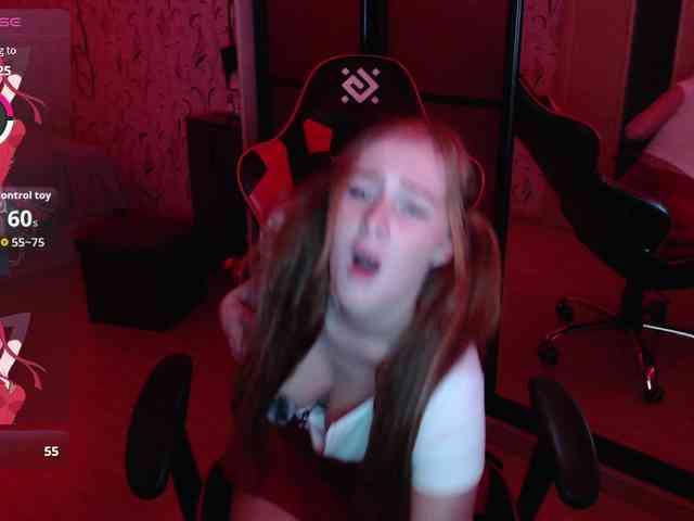 _Fox_ webcam