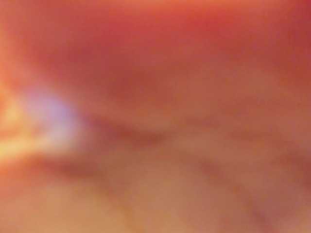 mikkylovely live cam on BongaCams