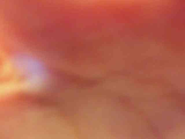 mikkylovely webcam