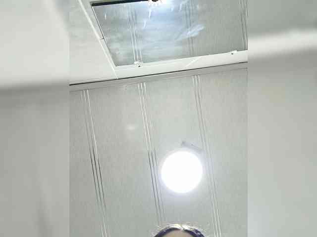 maddymendozax's live room