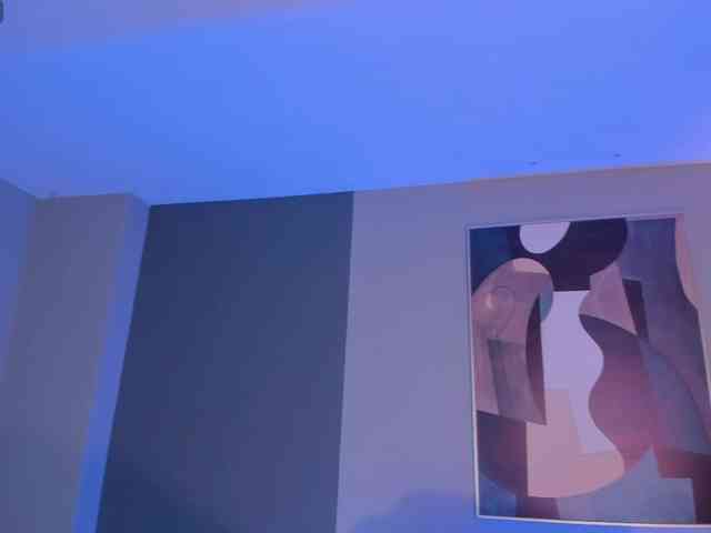 DemiNova webcam