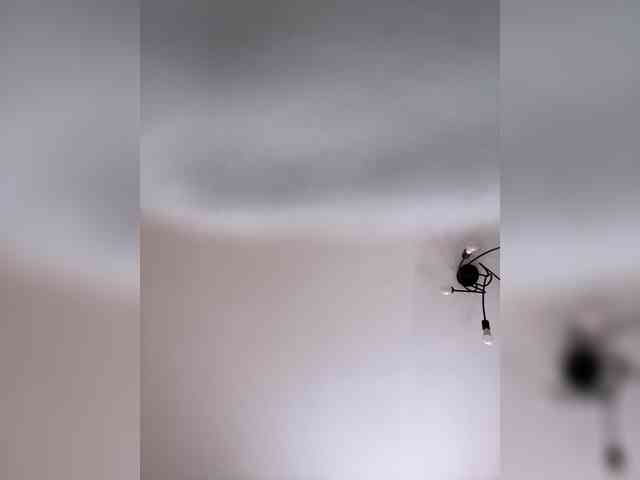 Alienlouhome webcam