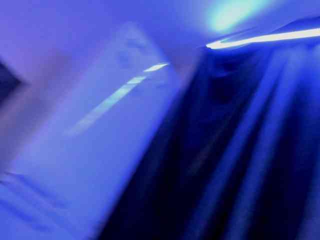 layladiar webcam
