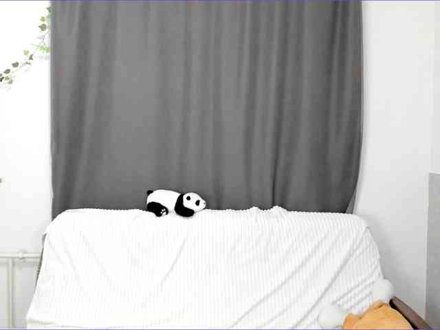 layladiar webcam