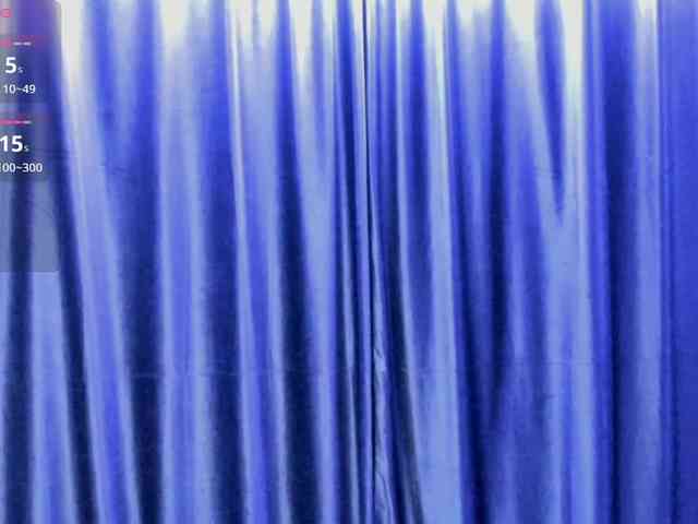 layladiar webcam