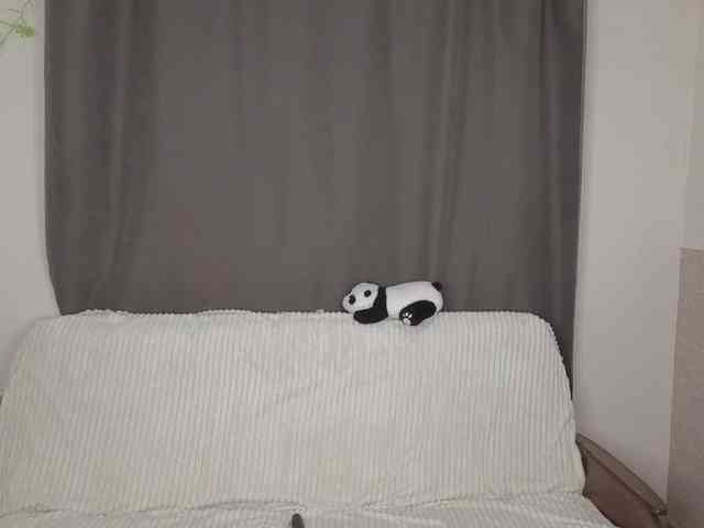 layladiar webcam