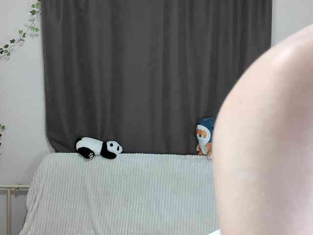 layladiar webcam