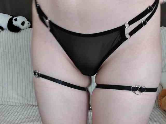 layladiar webcam