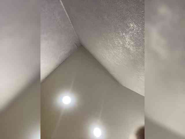 freakfarm webcam