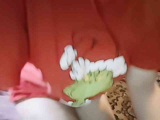 Kitti- webcam