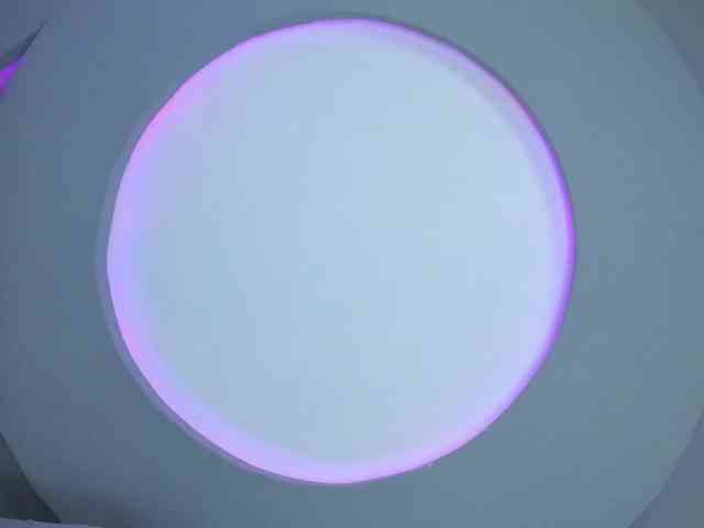 NicolleSweett04