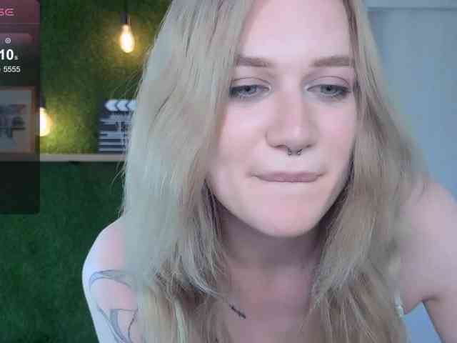 KotKiss webcam