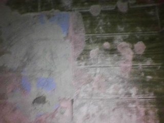 sungjoy08