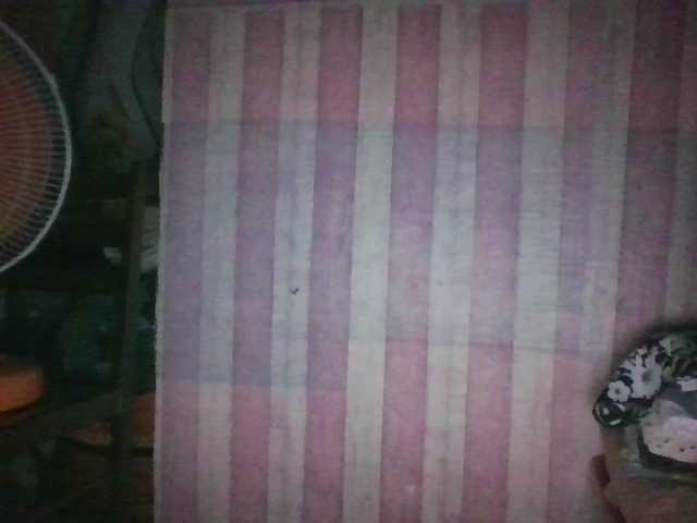 sungjoy08's BongaCams show and profile