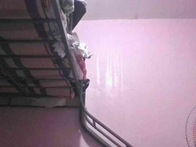 sungjoy08 webcam