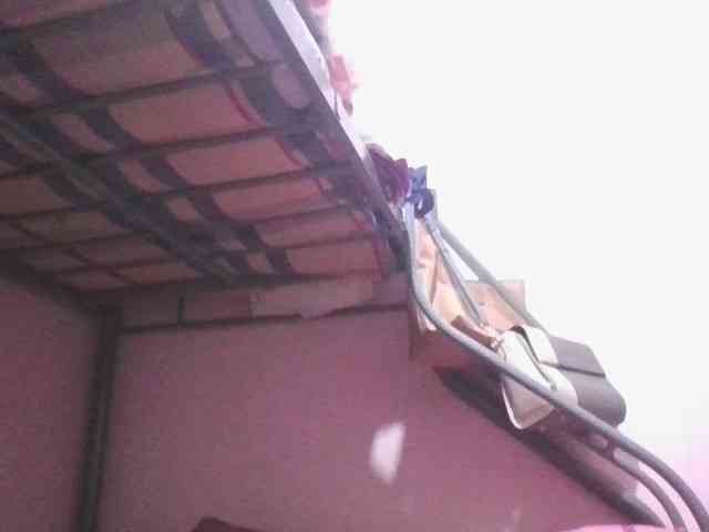 sungjoy08 webcam