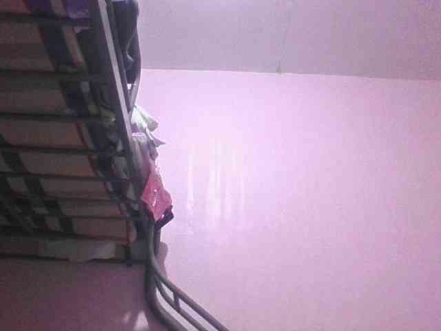 sungjoy08 webcam