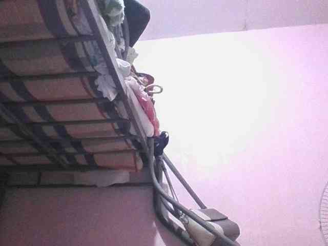 sungjoy08 webcam