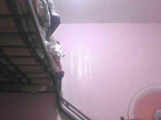 sungjoy08 webcam