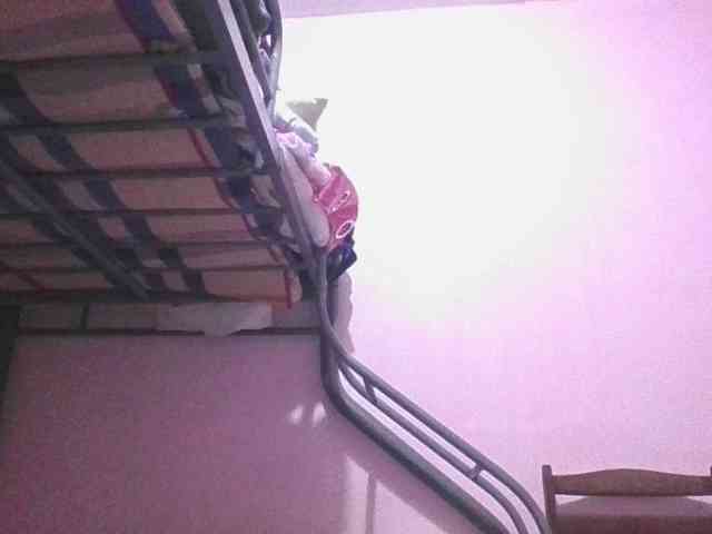 sungjoy08 webcam