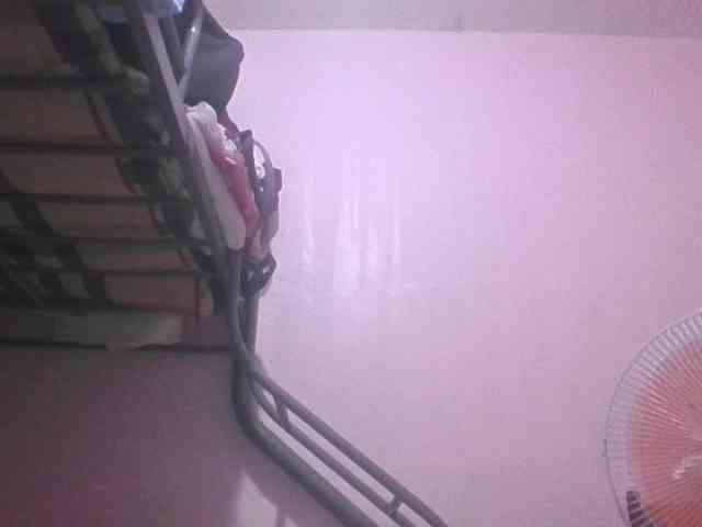 sungjoy08 webcam