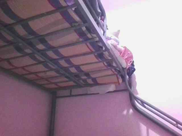 sungjoy08 webcam
