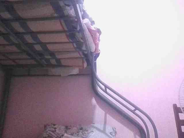 sungjoy08 webcam
